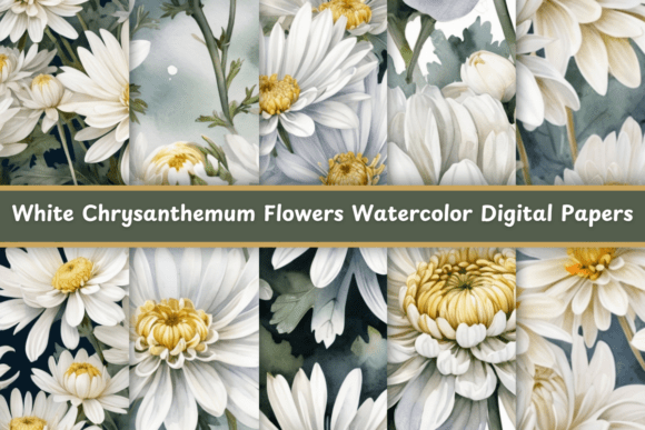White Chrysanthemum Flowers Watercolor: A Timeless Artistic Choice